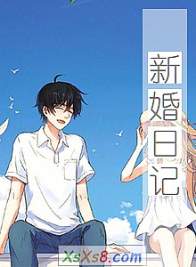 《新婚日记》小说封面