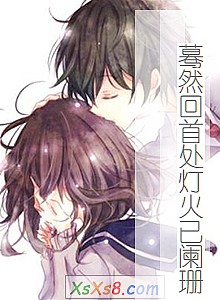 《蓦然回首处灯火已阑珊》小说封面