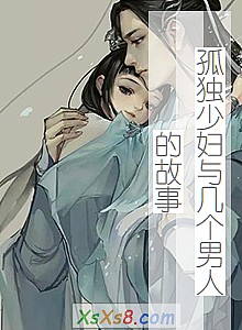 《孤独少妇与几个男人的故事》小说封面