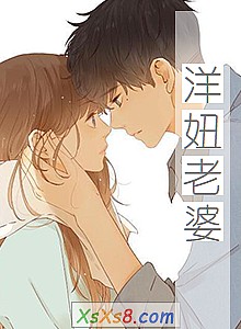 《洋妞老婆》小说封面