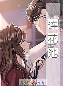 《莲花池》小说封面