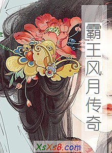 《霸王风月传奇》小说封面