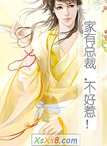 《家有总裁,不好惹!》小说封面