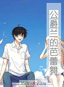 《公爵兰的芭蕾舞》小说封面