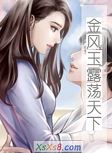 《金风玉露荡天下》小说封面