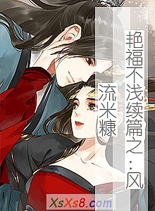 《艳福不浅续篇之:风流米糠》小说封面