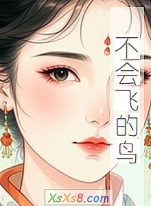 《不会飞的鸟》小说封面