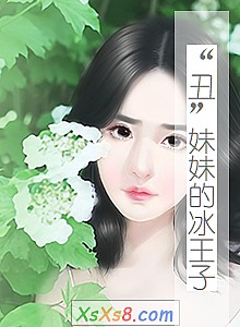 《“丑”妹妹的冰王子》小说封面