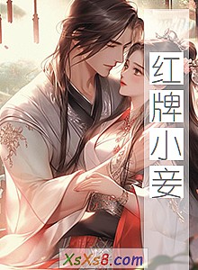 《红牌小妾》小说封面