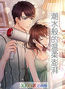 《潮水般的温柔澎湃》小说封面