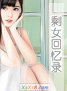 《剩女回忆录》小说封面