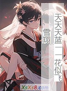 《天天天蓝——花似飞雪翔》小说封面