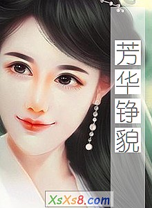 《芳华铮貌》小说封面