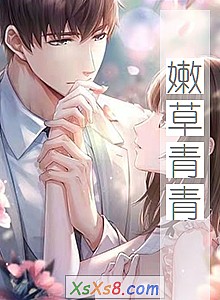 《嫩草青青》小说封面