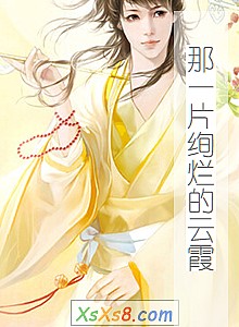 《那一片绚烂的云霞》小说封面