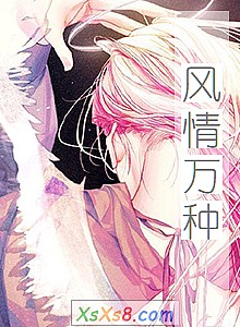 《风情万种》小说封面