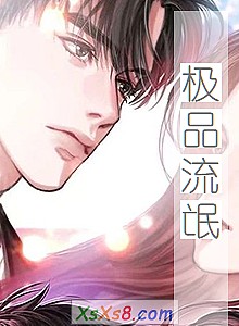 《极品流氓》小说封面