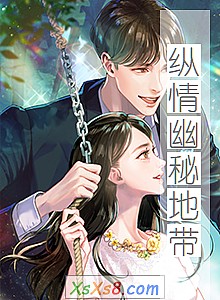 《纵情幽秘地带》小说封面