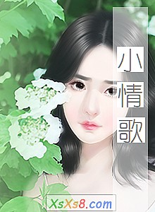 《小情歌》小说封面