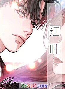 《红叶》小说封面