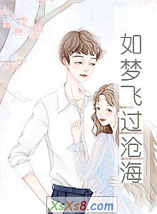 《如梦飞过沧海》小说封面