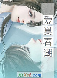 《爱巢春潮》小说封面