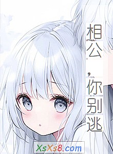 《相公,你别逃》小说封面