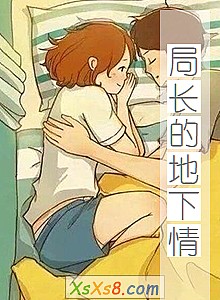 《局长的地下情》小说封面