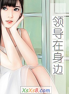 《领导在身边》小说封面