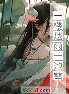 《一楼烟雨一池雪》小说封面