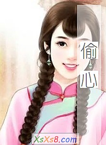 《偷心》小说封面