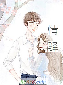 《情驿》小说封面