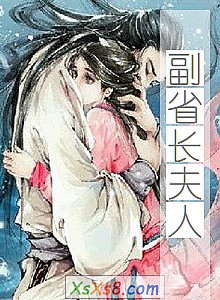 《副省长夫人》小说封面