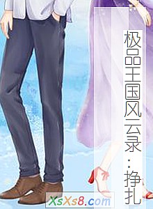 《极品王国风云录:挣扎》小说封面