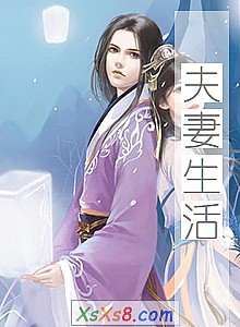 《夫妻生活》小说封面