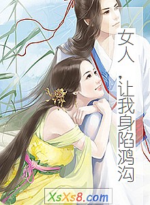 《女人,让我身陷鸿沟》小说封面