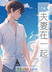 ��������һ��С˵����