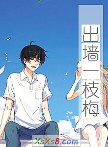 《出墙一枝梅》小说封面