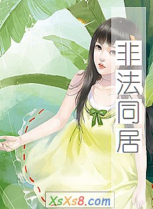 《非法同居》小说封面