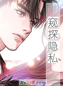 《窥探隐私》小说封面