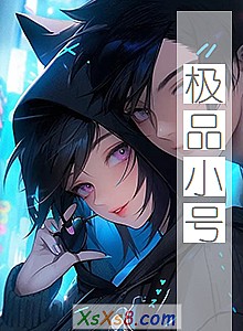 《极品小号》小说封面