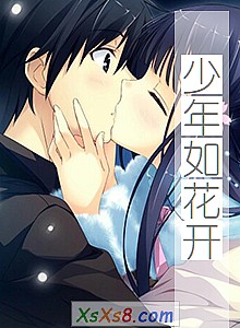 《少年如花开》小说封面