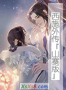 《西施外传『山寨版』》小说封面