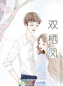 《双栖凤》小说封面