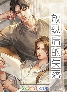 《放纵后的失落》小说封面