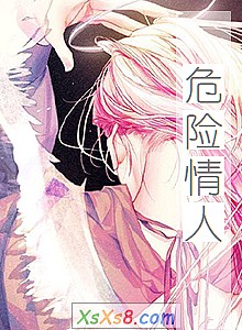 《危险情人》小说封面