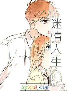 《迷情人生》小说封面