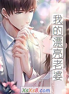 《我的漂亮老婆》小说封面