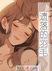 《遗落的羽毛》小说封面