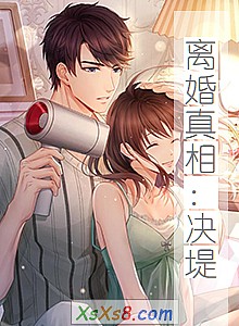 《离婚真相:决堤》小说封面